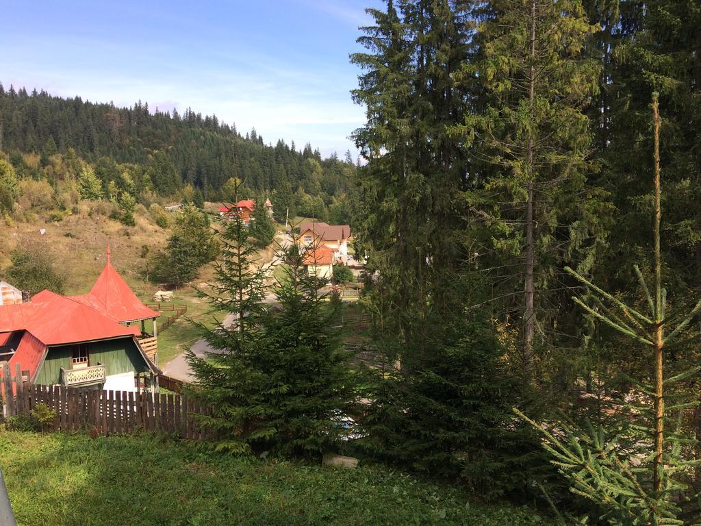 Vila Veverita Hotell Borsec Exteriör bild