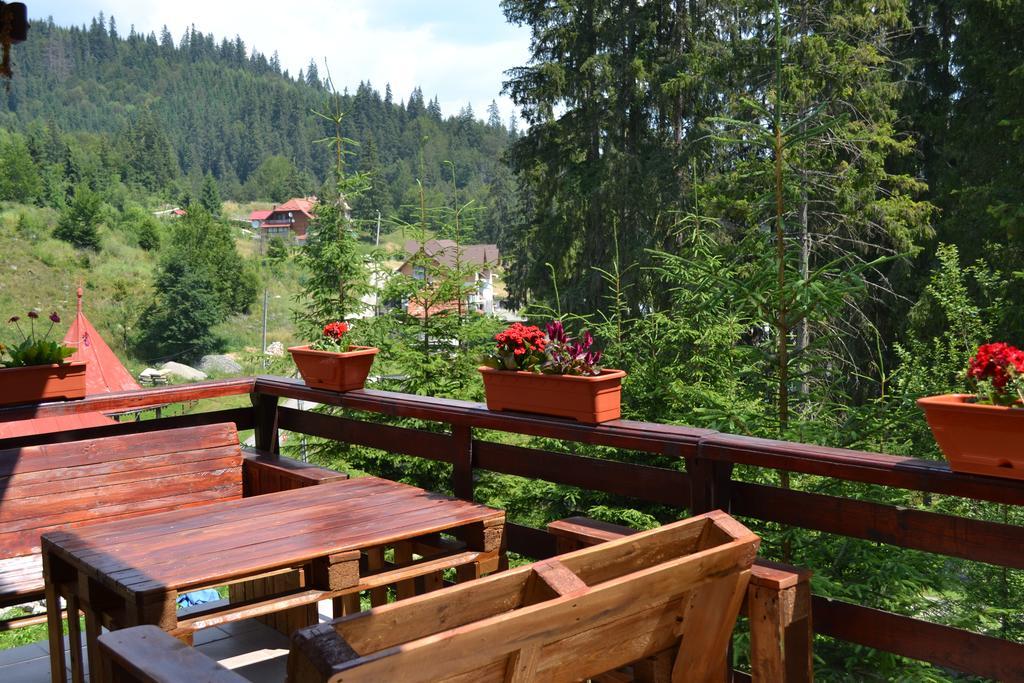 Vila Veverita Hotell Borsec Exteriör bild