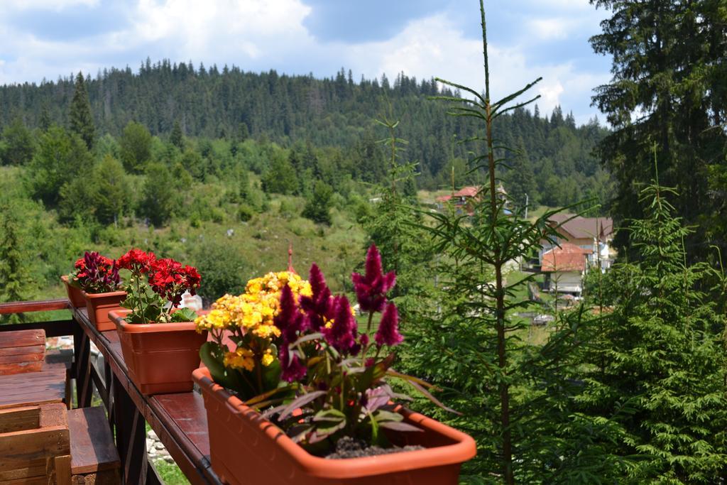 Vila Veverita Hotell Borsec Exteriör bild